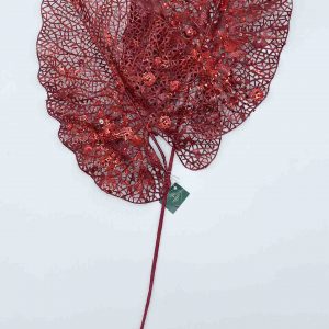 EYJY16267 (red color)