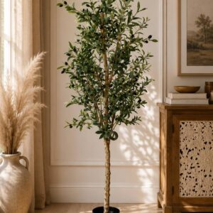 Olive Tree